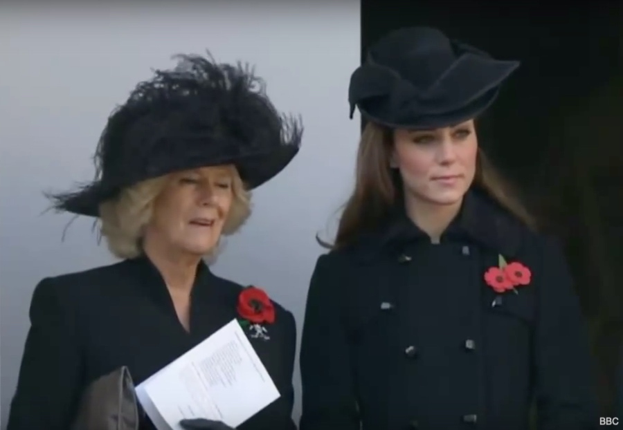 Kate in Diane von Furstenberg for 2011 Remembrance Sunday Ceremony
