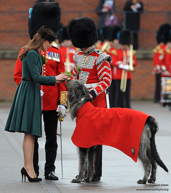 Conmeal, the Irish Guard's official mascot