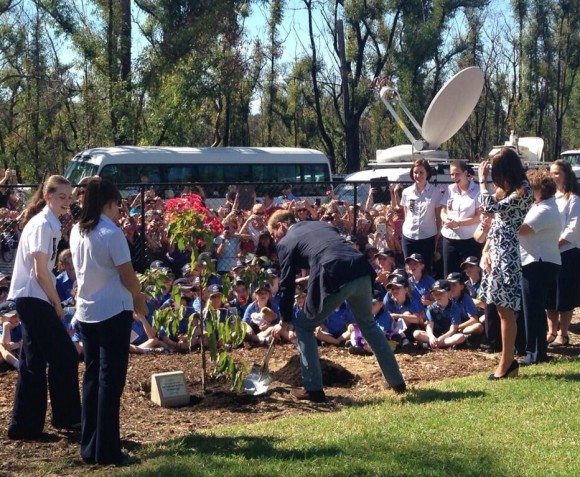 William and Kate planting a tree.  Emily Andrews, The Sun.  Via What Kate Wore