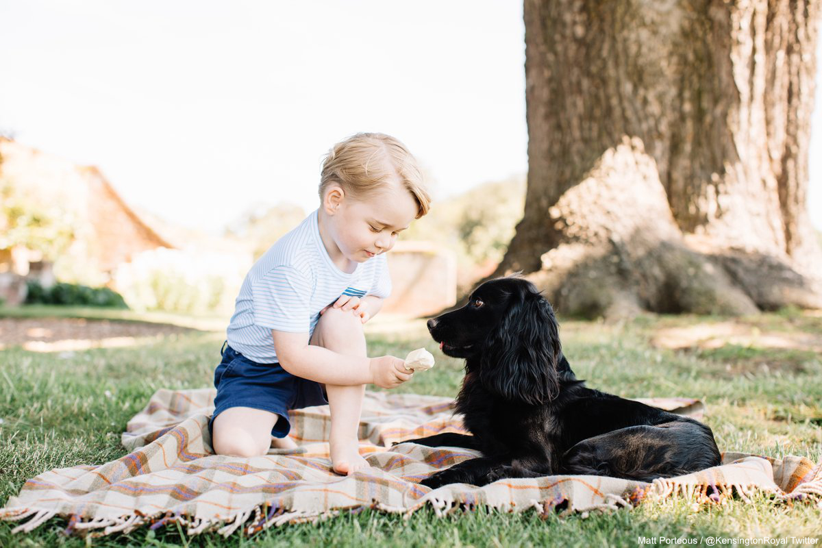 Four new pictures of Prince George released to celebrate his third birthday