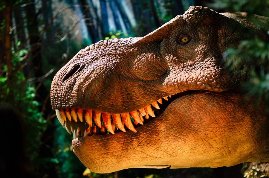 Eden Project Dinosaurs