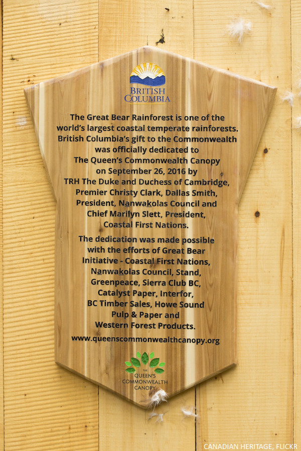 The plaque in Great Bear Rainforest