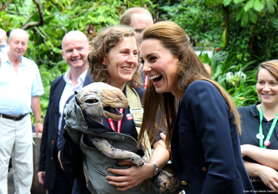 Kate is started by a baby dinosaur puppet