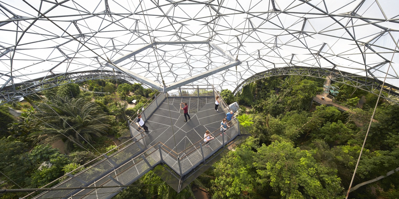 Rainforest Lookout at the Eden Project