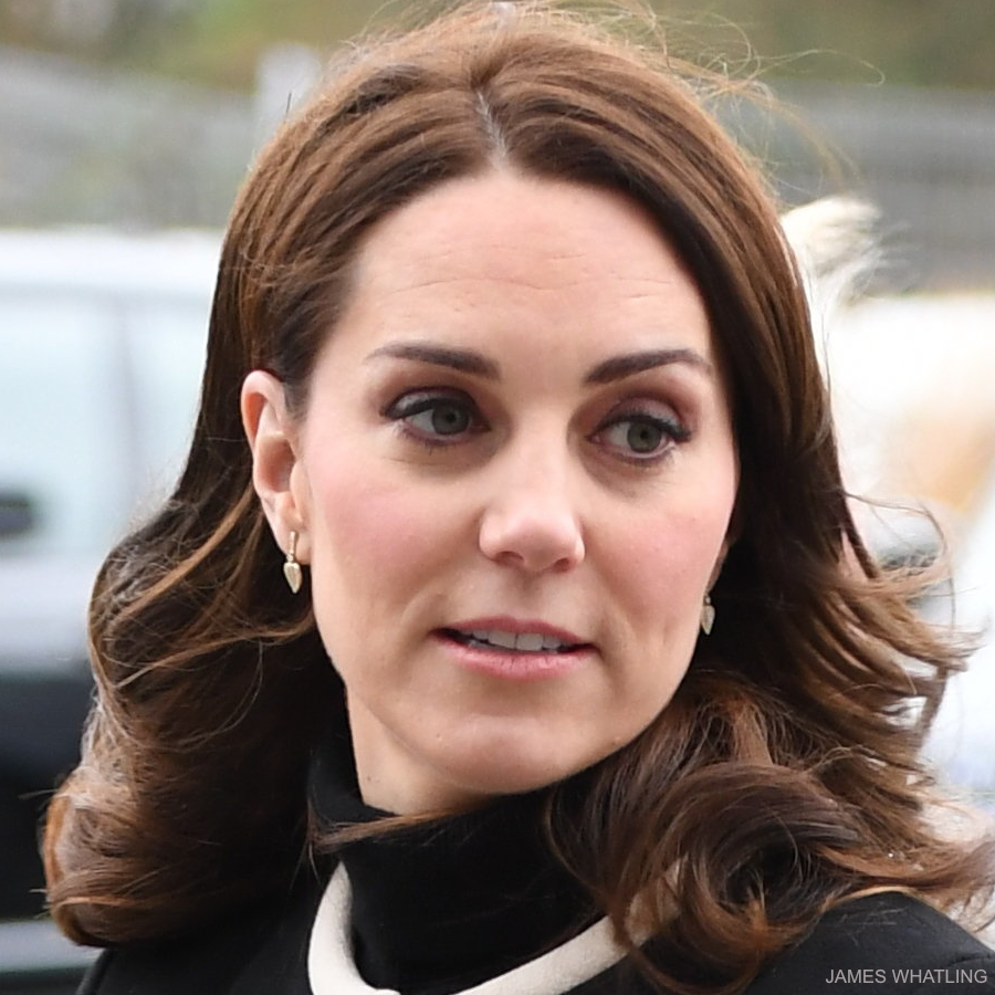 Kate Middleton wearing her Kiki McDonough Lauren Leaf earrings in Birmingham