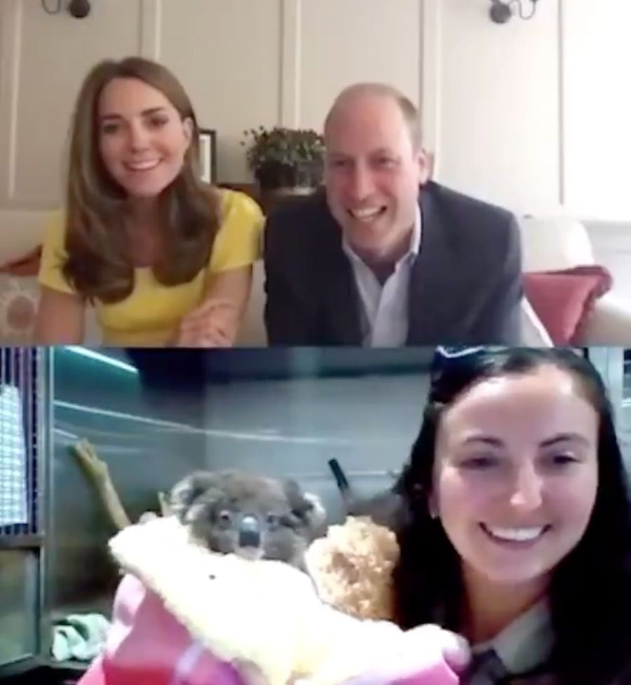 Kate acknowledges Australia with her golden-yellow dress as she hears about bush fires, COVID & Koalas 🐨