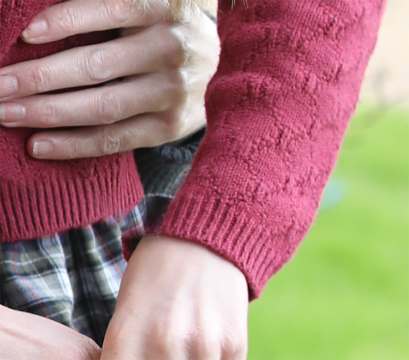 Evidence that the image was manipulated in photoshop, showing Princess Charlotte's sleeve is transparent.